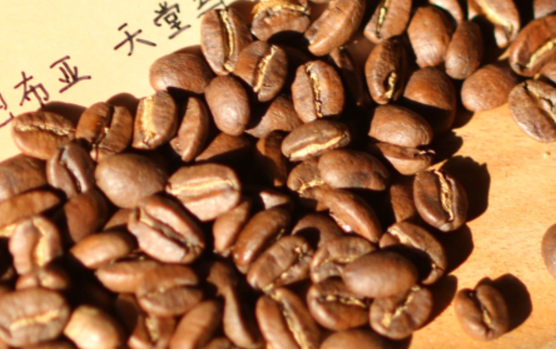 巴布亞新幾內亞咖啡