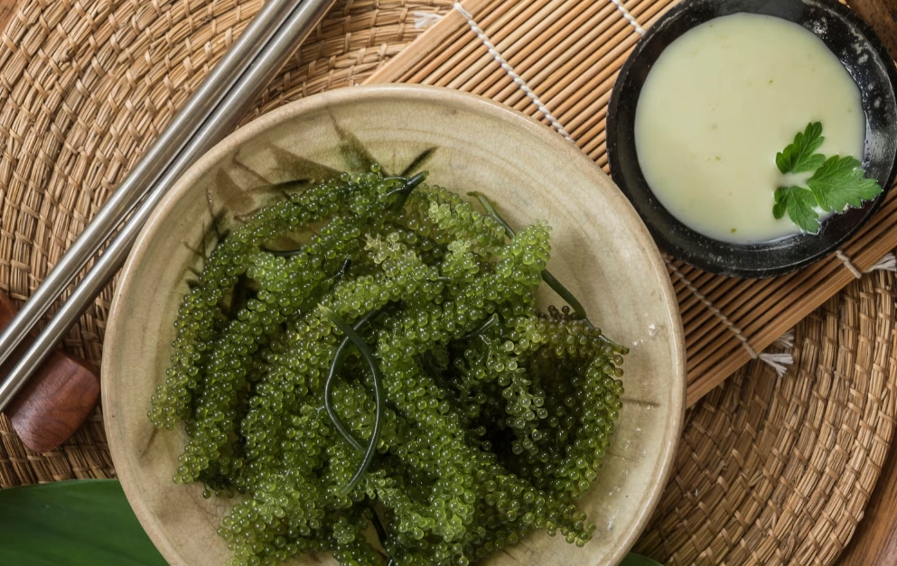 海葡萄餐廳推薦 海葡萄餐廳推薦