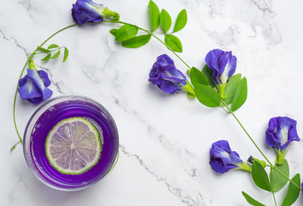 可生食的花卉 可生食的花卉