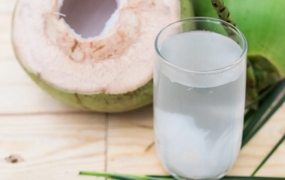 椰子禁忌 椰子禁忌