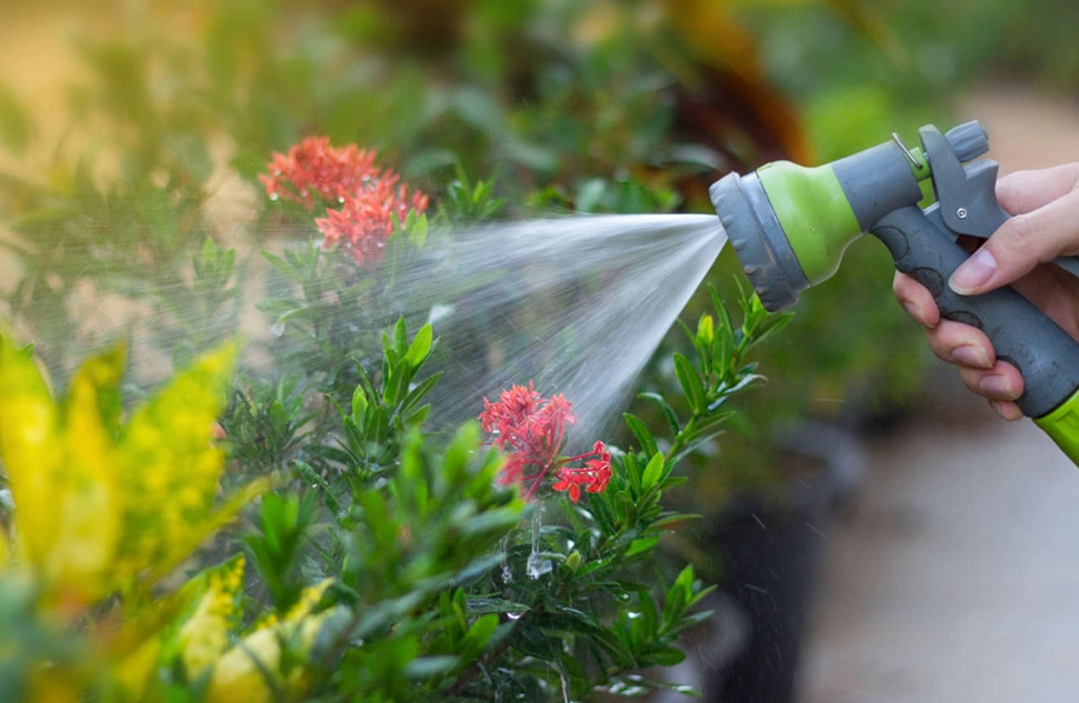 自來水澆花壞處