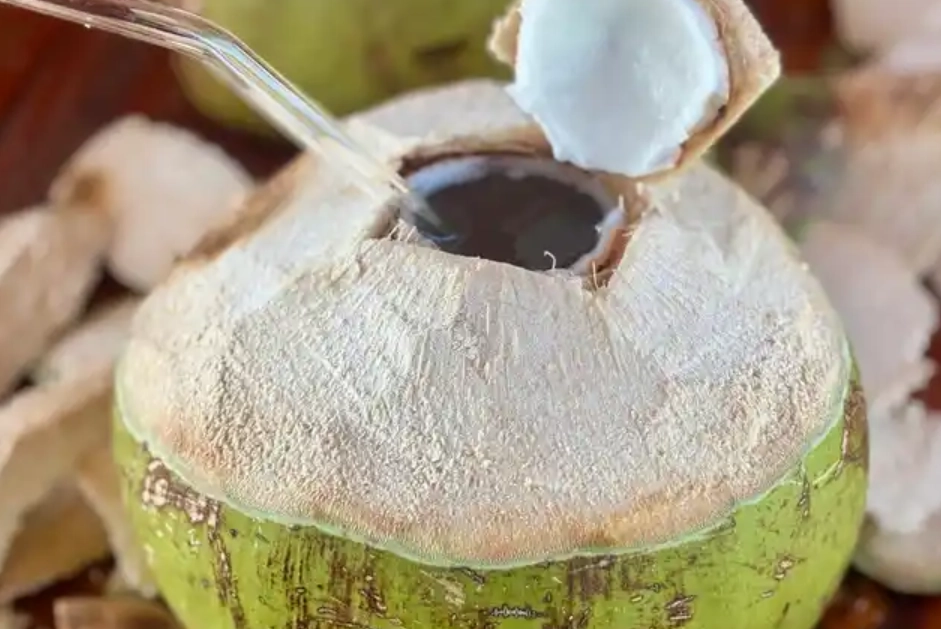 椰子禁忌 椰子禁忌