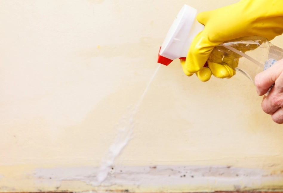 漂白水稀釋比例