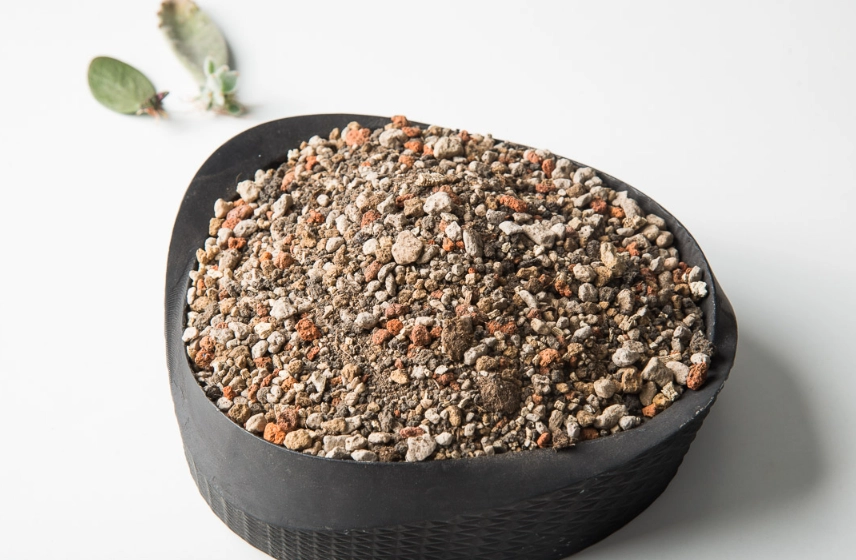 多肉植物介質
