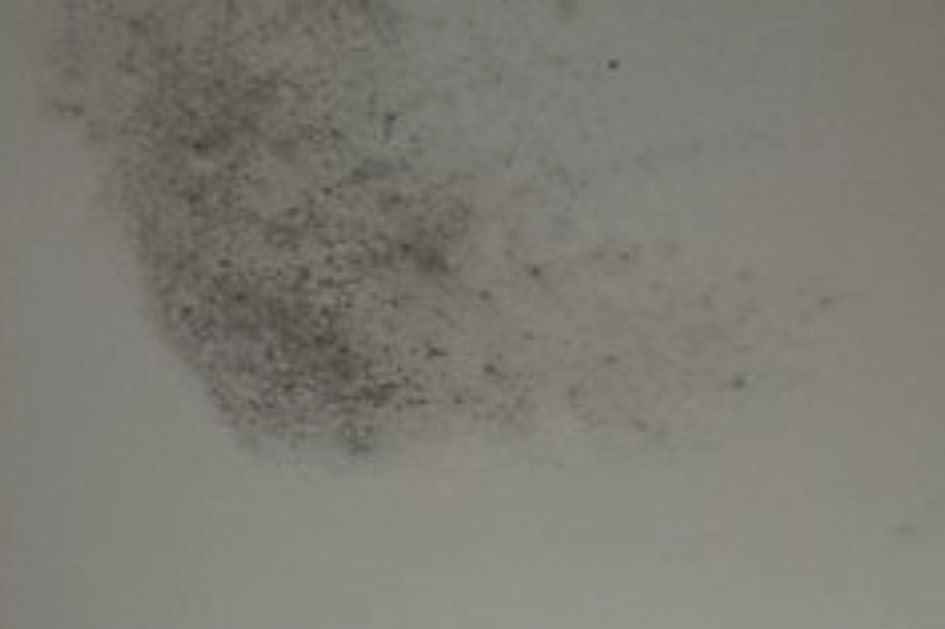 天花板發霉原因 天花板發霉原因