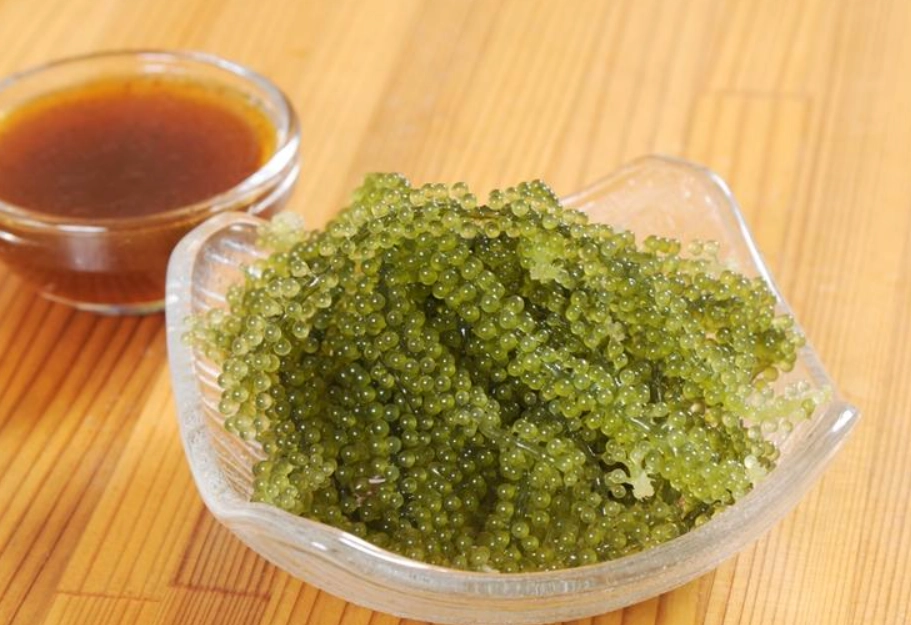 香港海葡萄 香港海葡萄