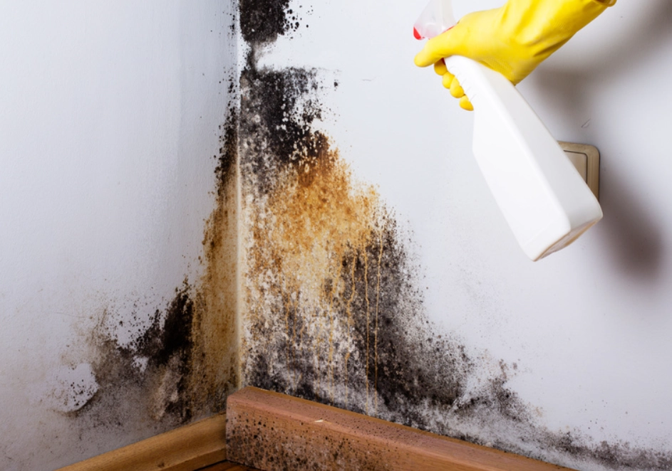 漂白水稀釋比例