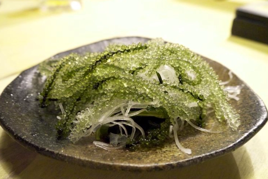 海葡萄怎麼吃 海葡萄怎麼吃