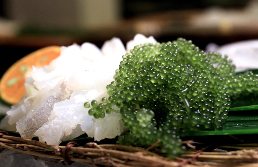 海葡萄餐廳推薦 海葡萄餐廳推薦