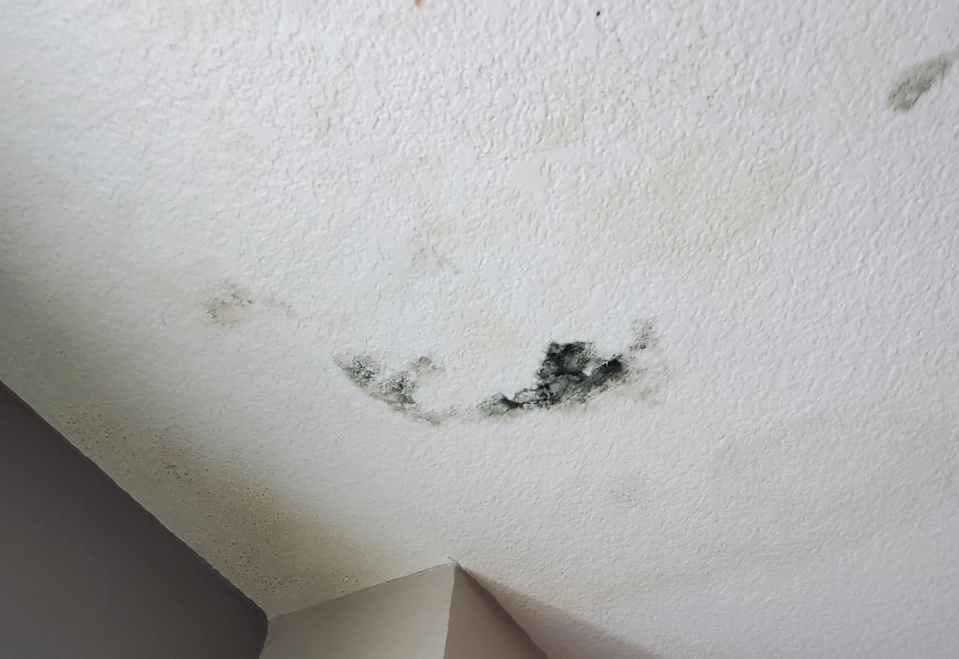 牆壁潮濕 牆壁潮濕