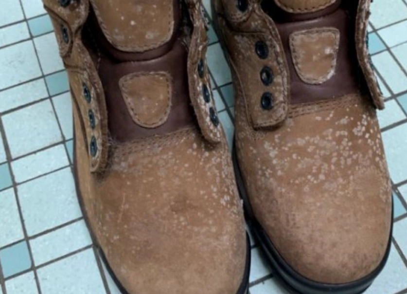 麂皮 發霉 酒精