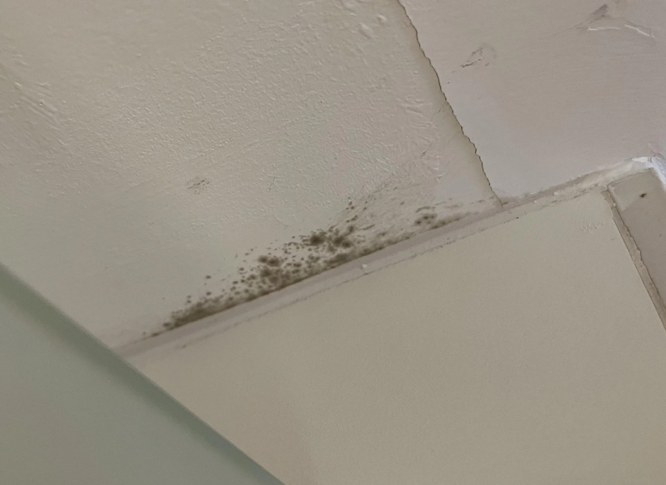 天花板發霉原因 天花板發霉原因