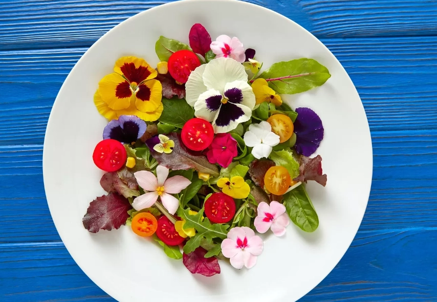 可食用花卉 可食用花卉