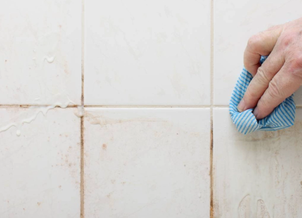 清潔劑推薦 清潔劑推薦