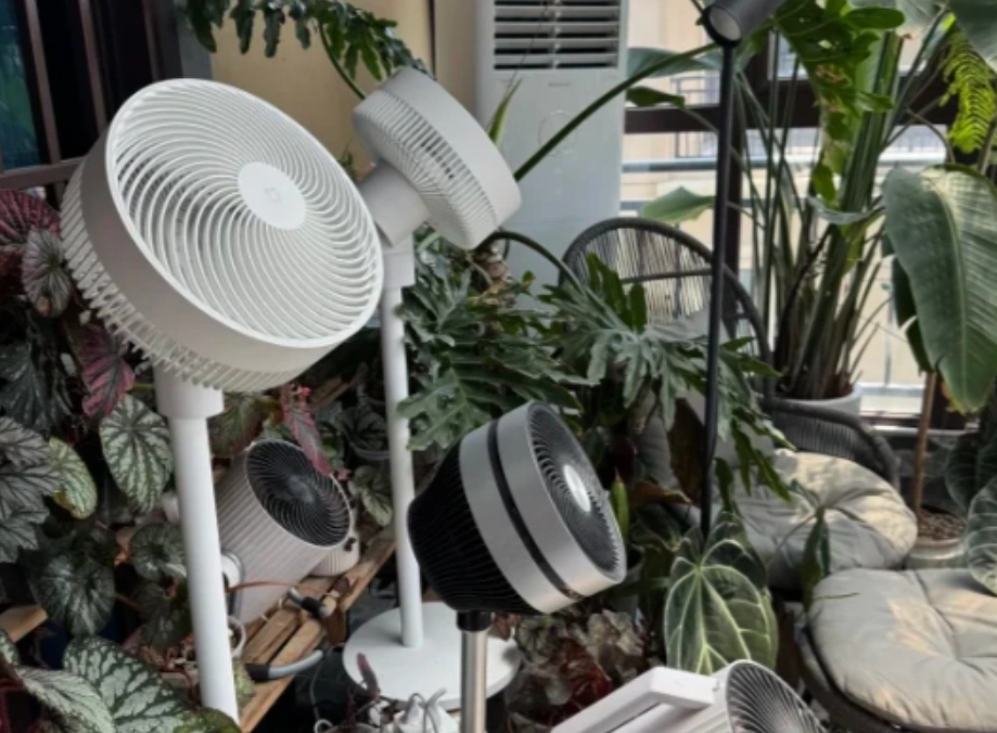 室內植物通風 室內植物通風