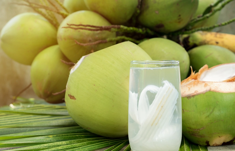 椰子副作用 椰子副作用