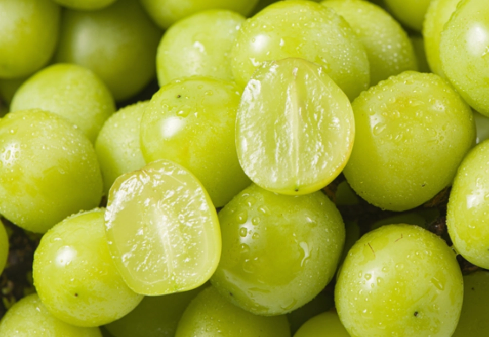 如何挑選無籽水果