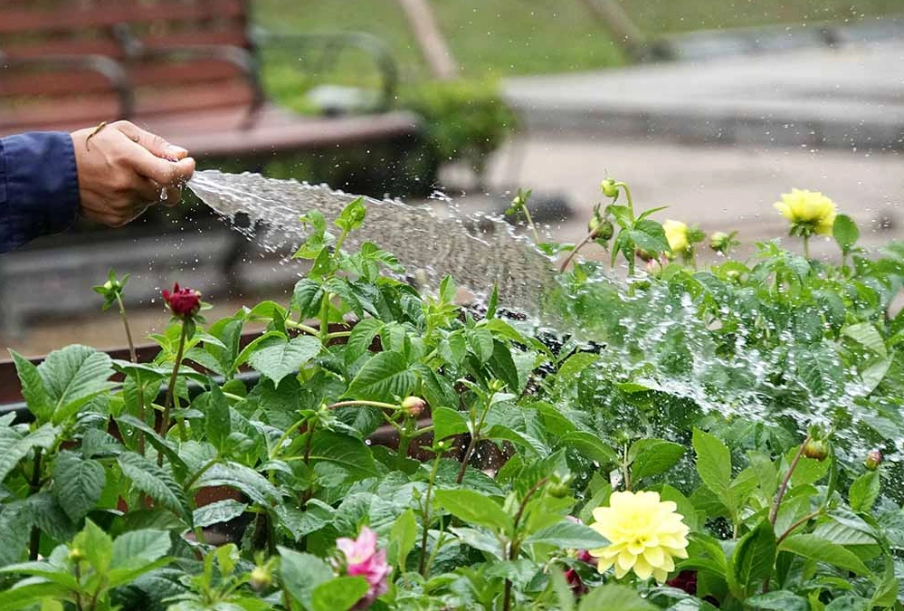 自來水澆花壞處