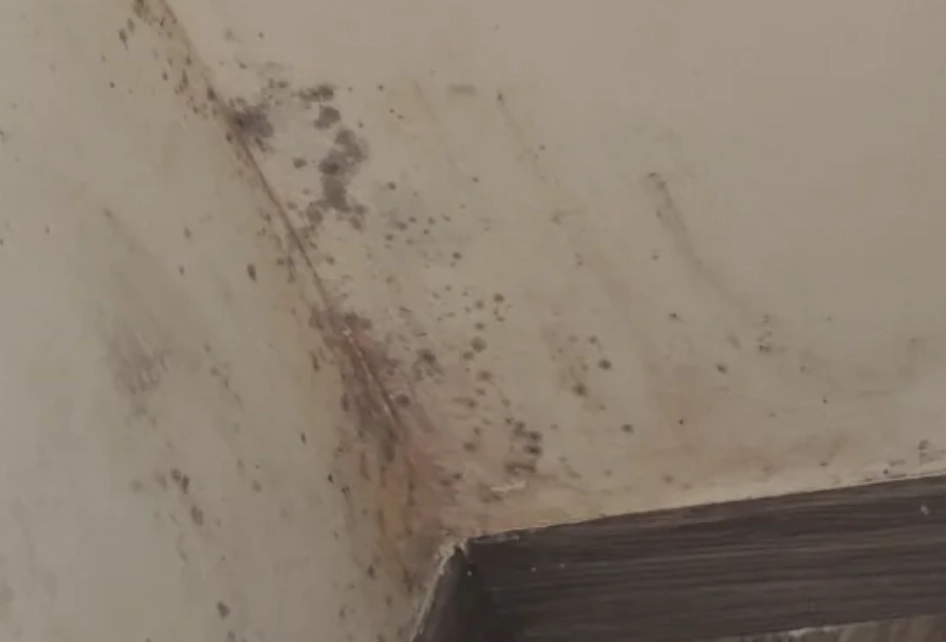 牆壁潮濕 牆壁潮濕