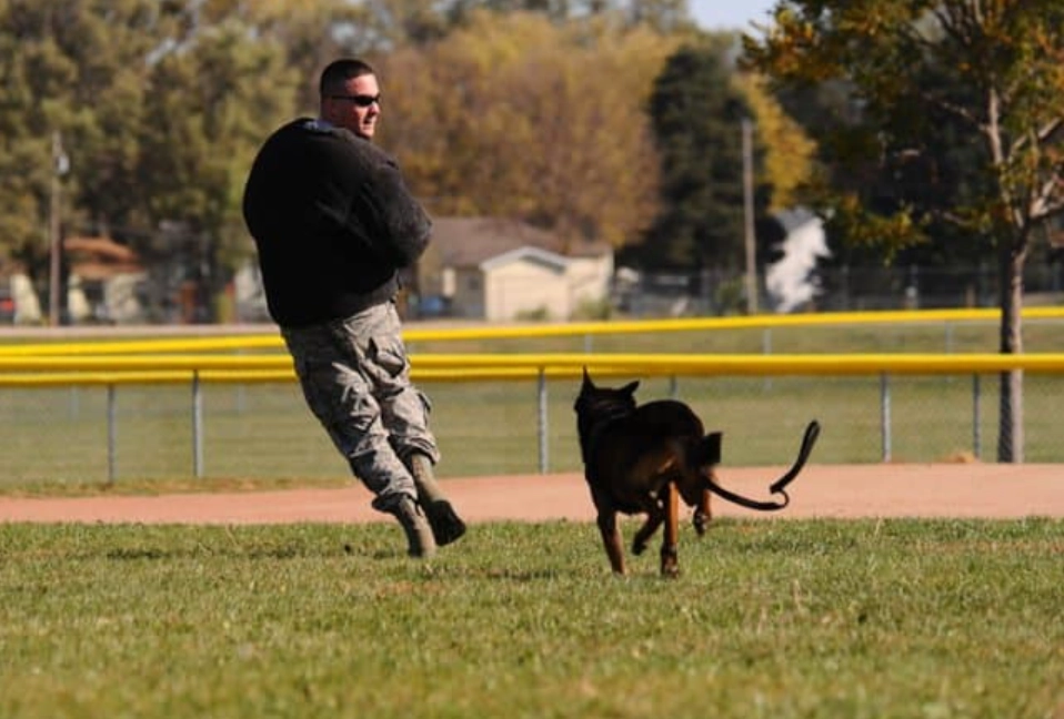 被狗追夢的意義