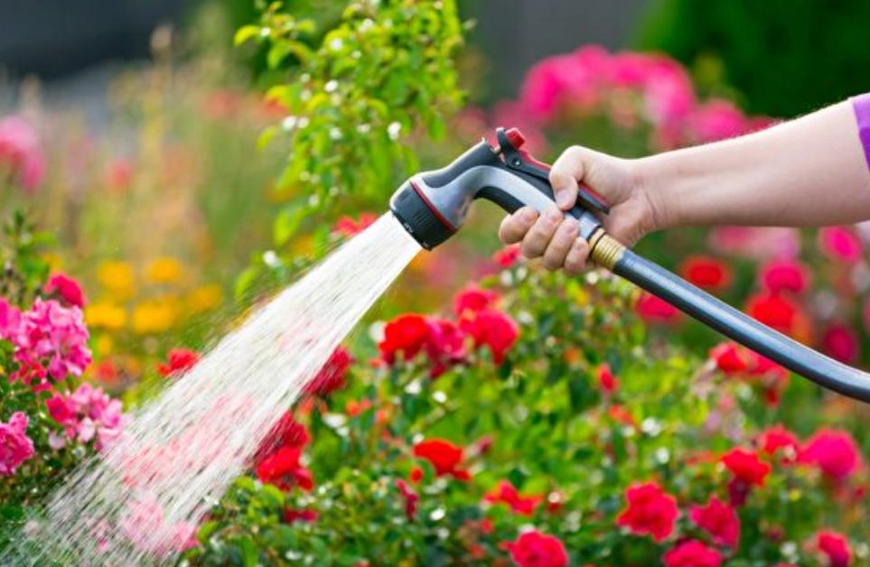 澆花自來水處理