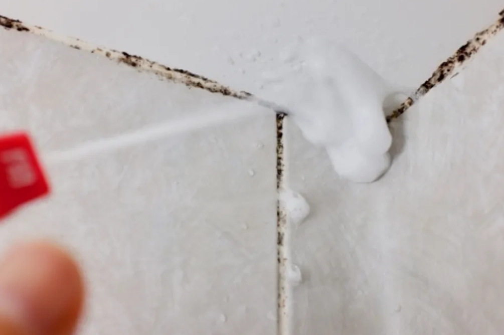 磁磚縫隙清潔 磁磚縫隙清潔