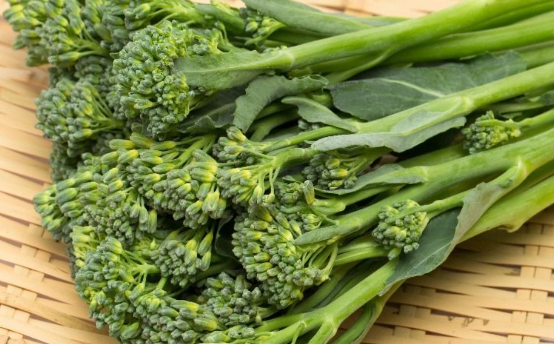 青花筍可以吃嗎 青花筍可以吃嗎