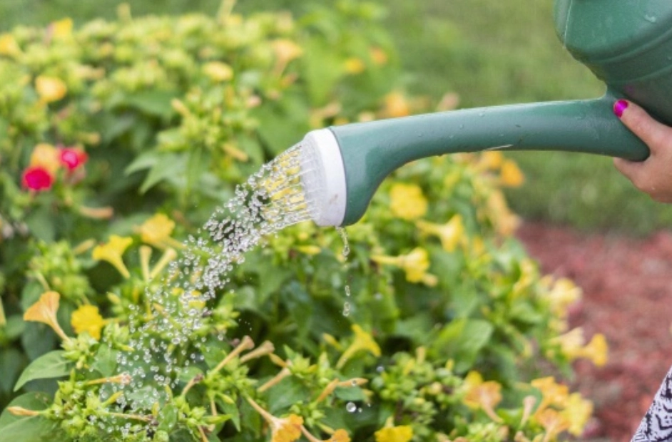 免費開水景點 免費開水景點