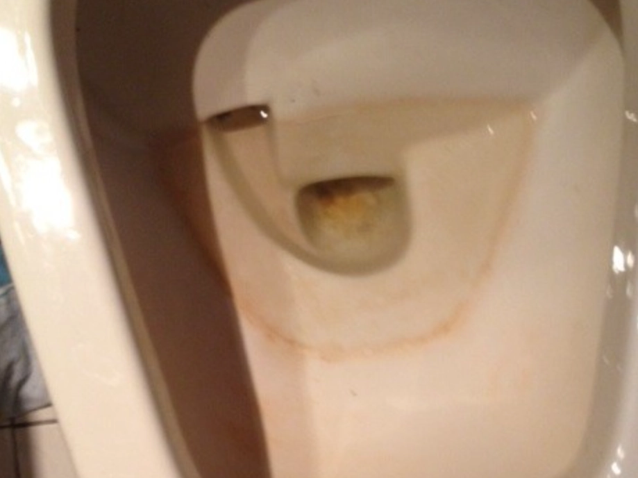 馬桶菌膜清除 馬桶菌膜清除