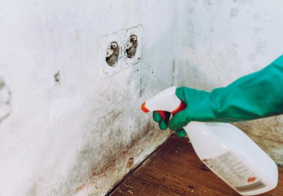 霉斑清潔方法 霉斑清潔方法