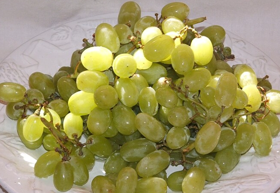 葡萄籽可以吃嗎 葡萄籽可以吃嗎