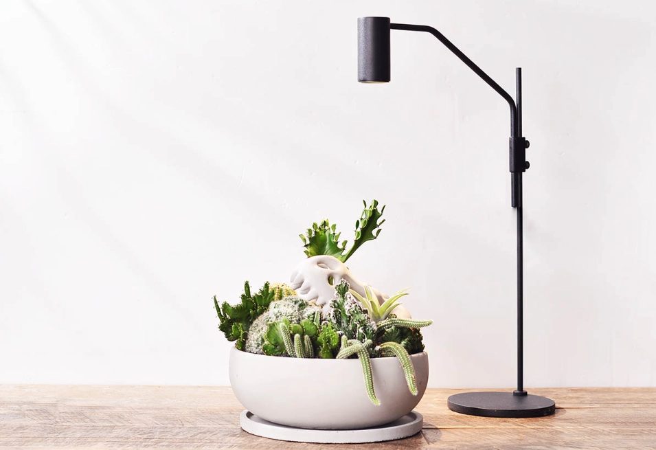 植物補光燈通風