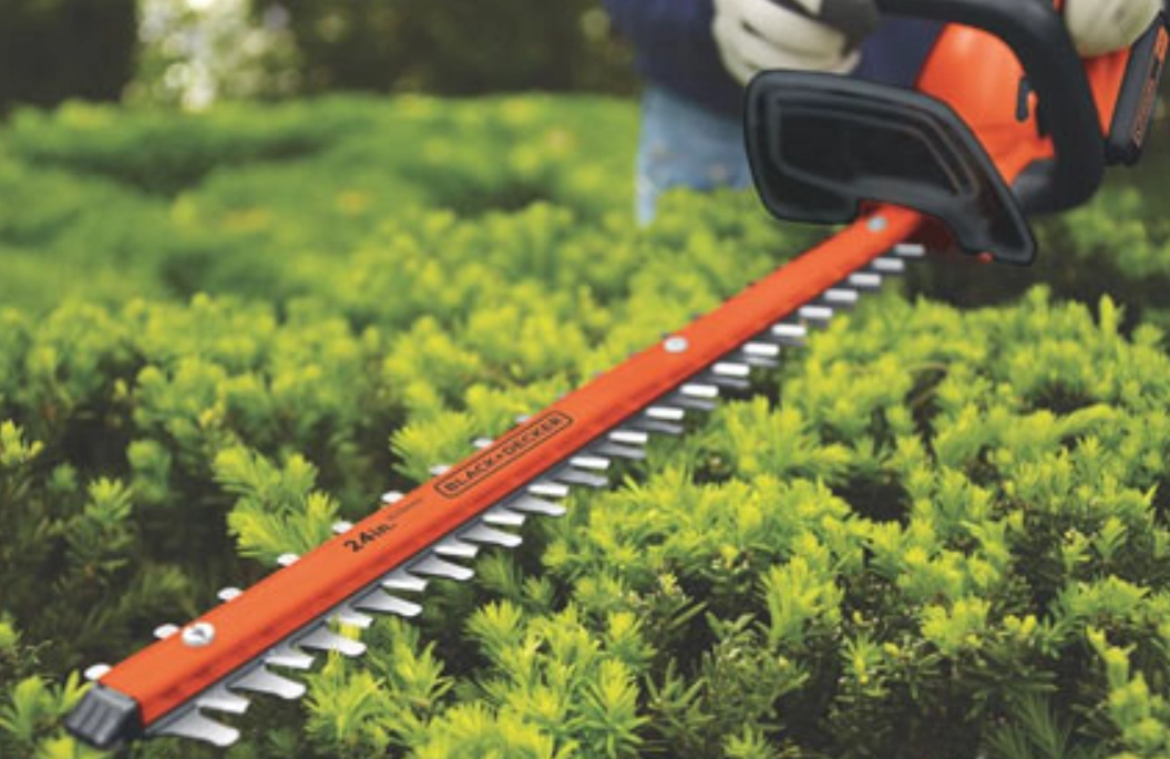 灌木修剪技巧 灌木修剪技巧