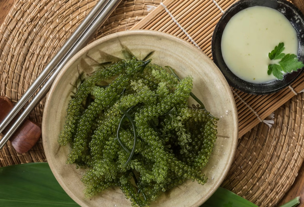 海葡萄功效 海葡萄功效