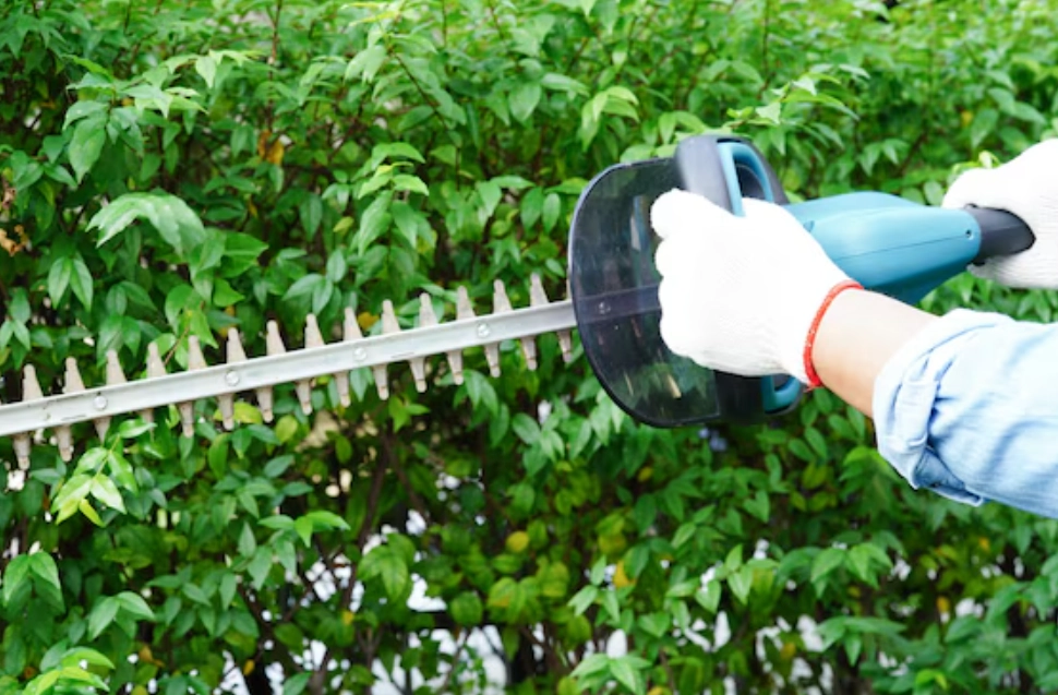 庭院灌木修剪 庭院灌木修剪