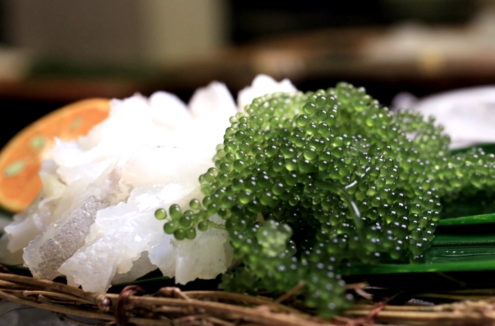 海葡萄功效 海葡萄功效