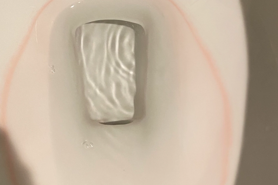 馬桶菌膜清除 馬桶菌膜清除