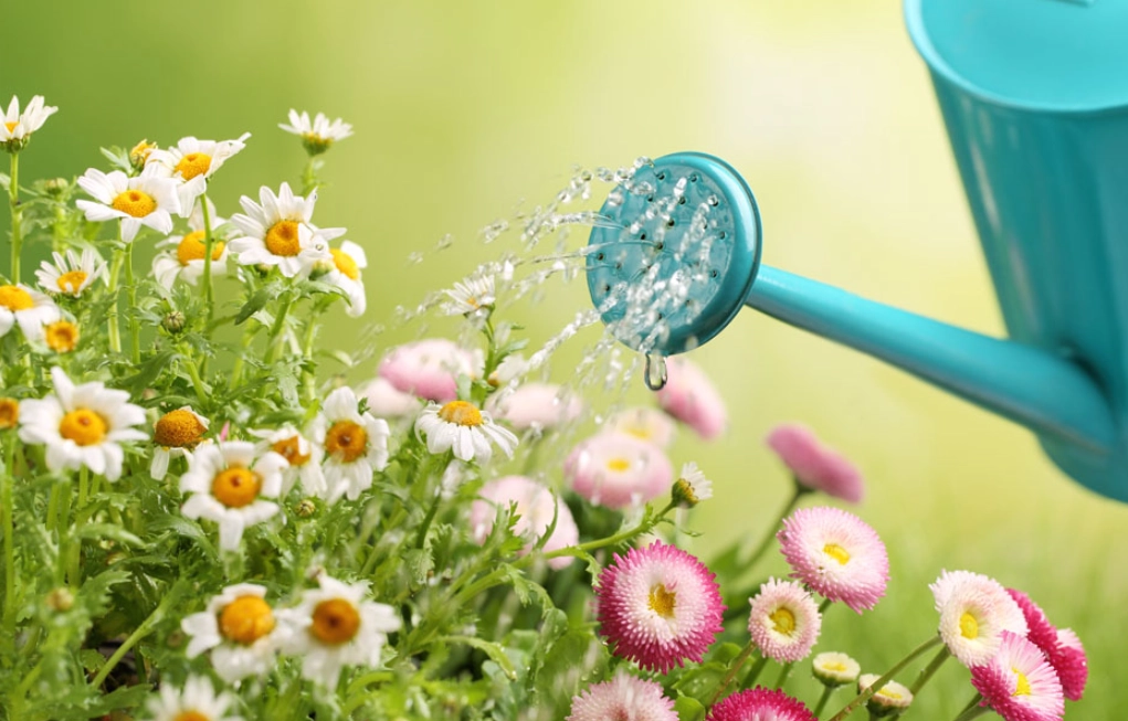 免費開水景點 免費開水景點