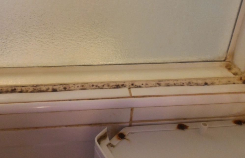 矽利康發霉清除 矽利康發霉清除