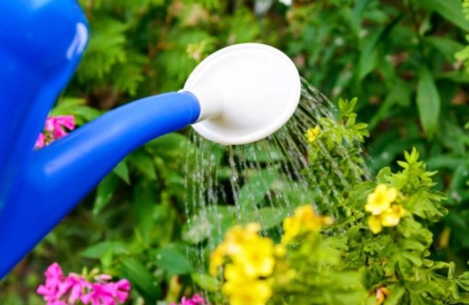 台灣路邊開水 台灣路邊開水