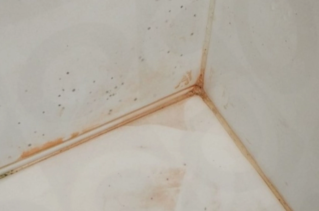 浴室黴菌健康影響 浴室黴菌健康影響