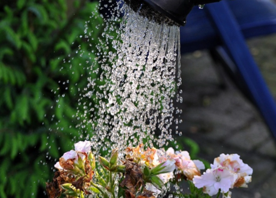 台灣路邊開水 台灣路邊開水