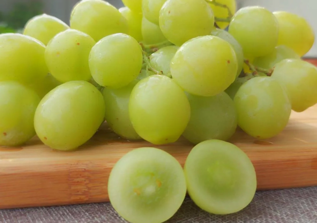 無籽葡萄品種 無籽葡萄品種