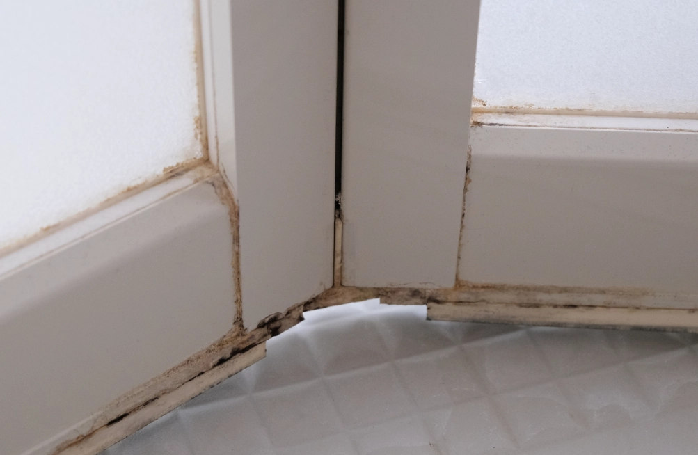 矽利康發霉清除 矽利康發霉清除