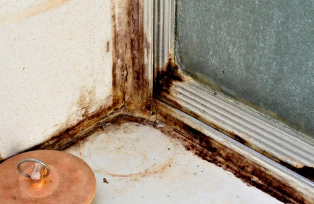 浴室膠條發霉 浴室膠條發霉