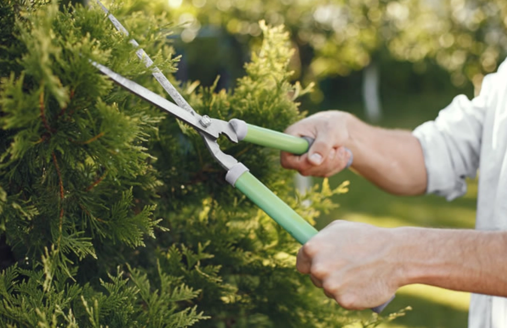 修剪工具推薦 修剪工具推薦