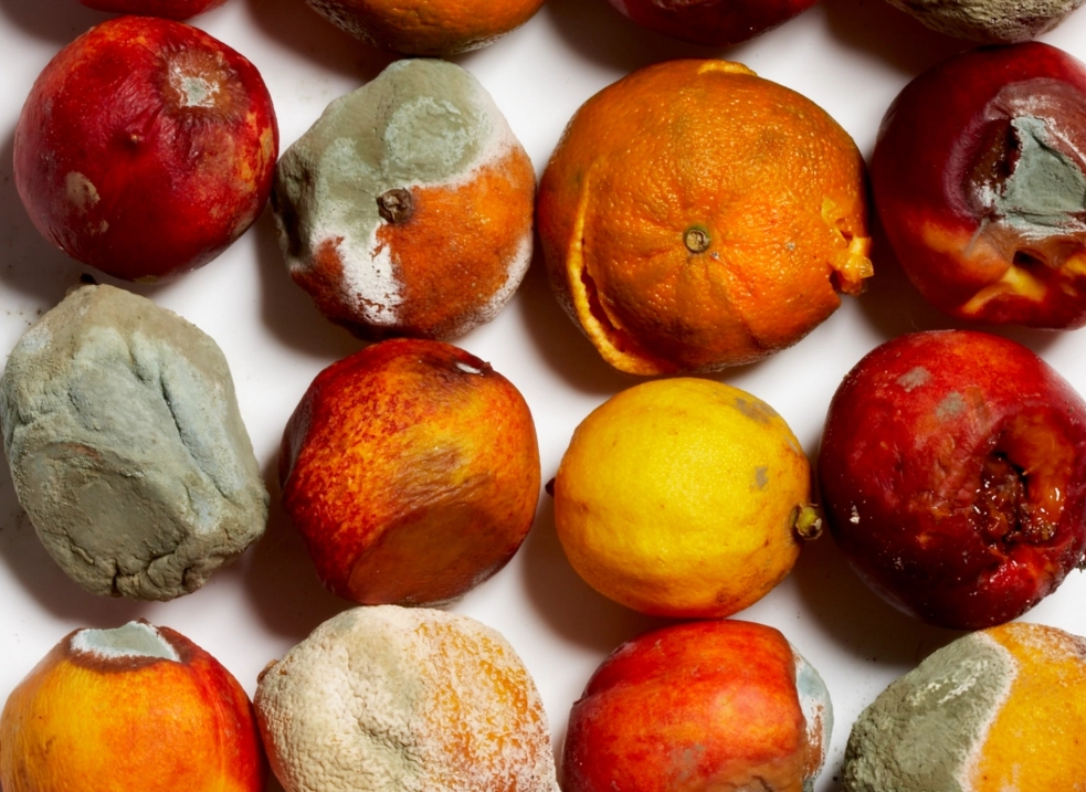 發霉食物能吃嗎