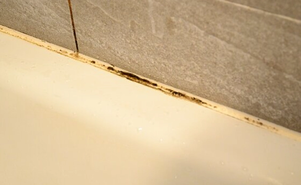 浴室防霉方法 浴室防霉方法