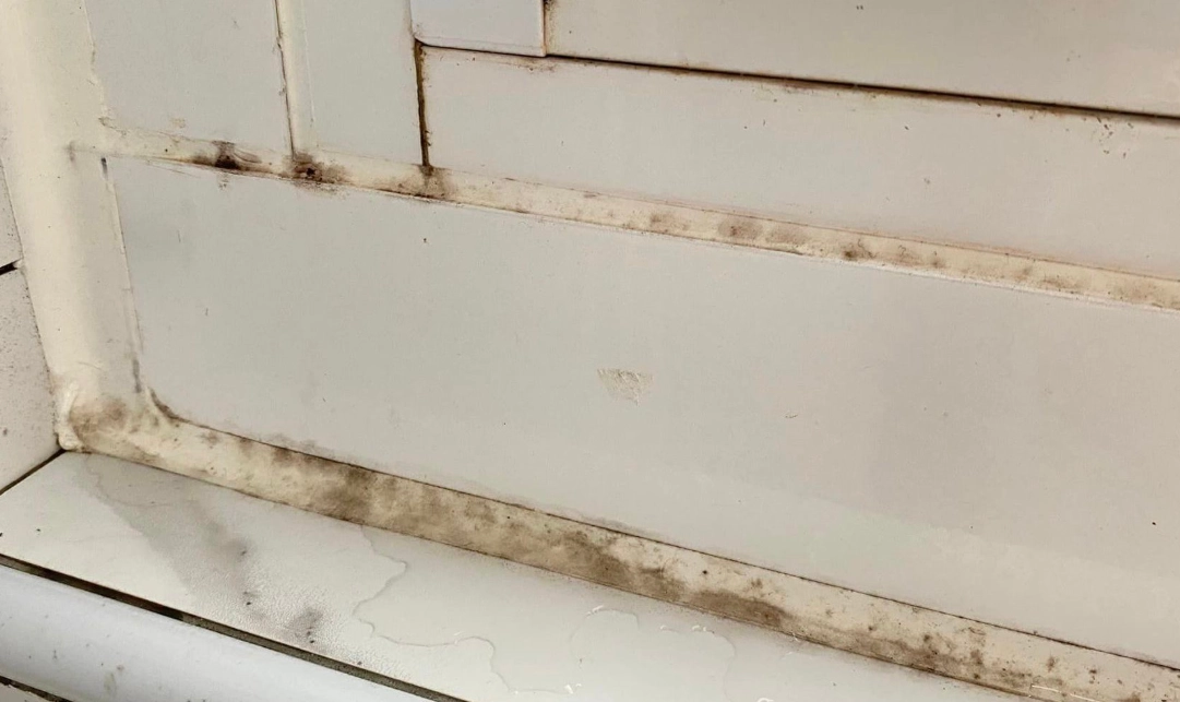 浴室防霉方法 浴室防霉方法