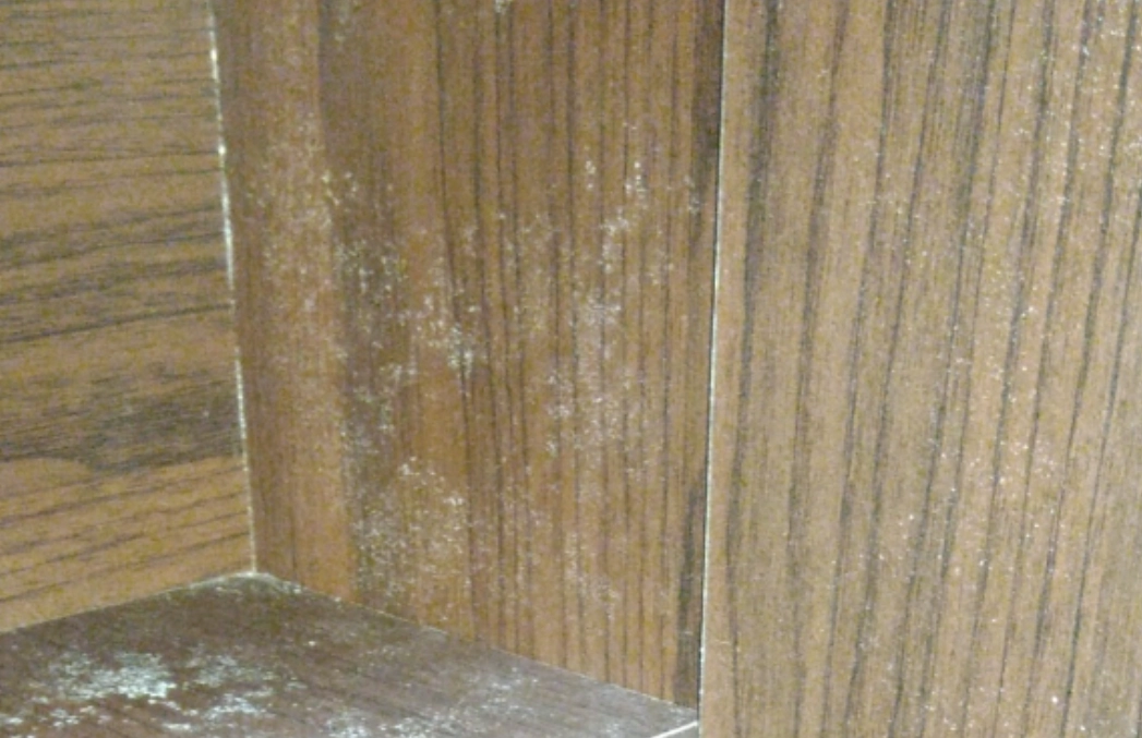 凡士林 防霉 凡士林 防霉